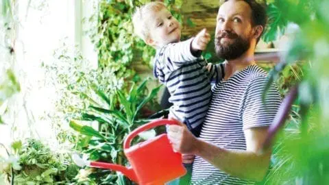 Sie lieben es natürlich? Umweltfreundliche Häuser aus Holz finden Sie in großer Auswahl bei Eksjöhus