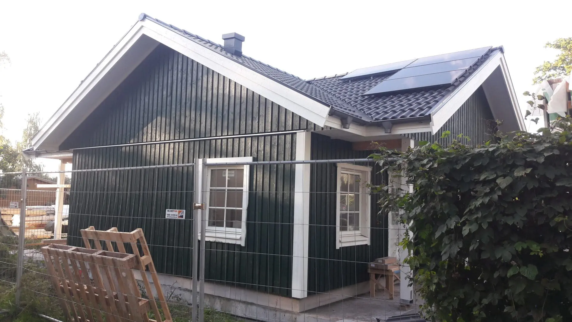 Dunkelgrünes Fagernäs in Rahnsdorf