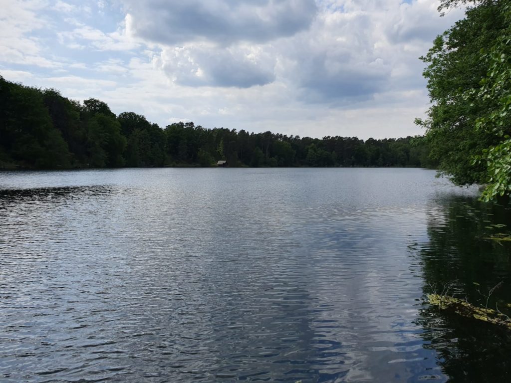 Blick vom Traumgrundstück auf einen See in Brandenburg