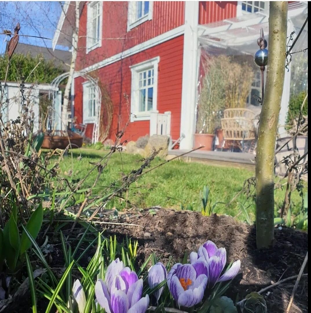 Schwedenhaus von Eksjöhus als blühendes Paradies