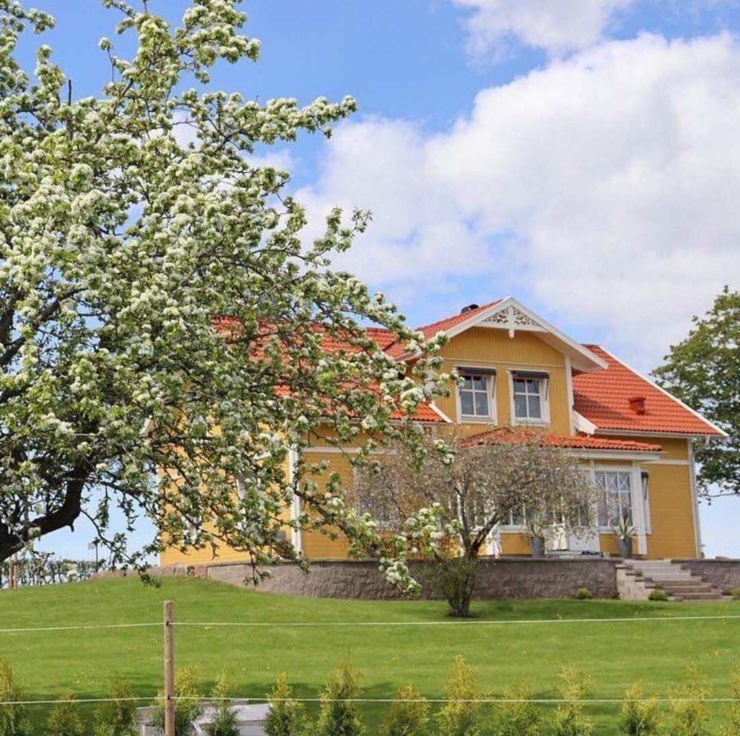 Schwedenhaus von Eksjöhus mit blühendem Birnbau,