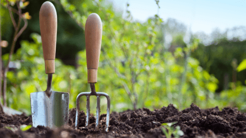 Gut Prophylaxe bei sommerhitze im Garten beginnt immer mit dem umgebenden Boden, der möglichst locker sein sollte, um Feuchtigkeit speichern zu können.